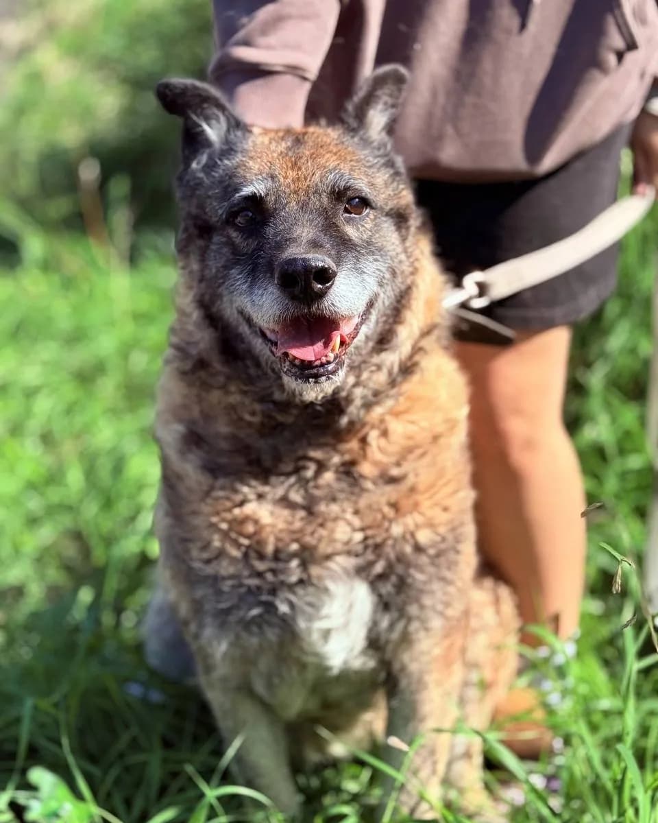 Леня