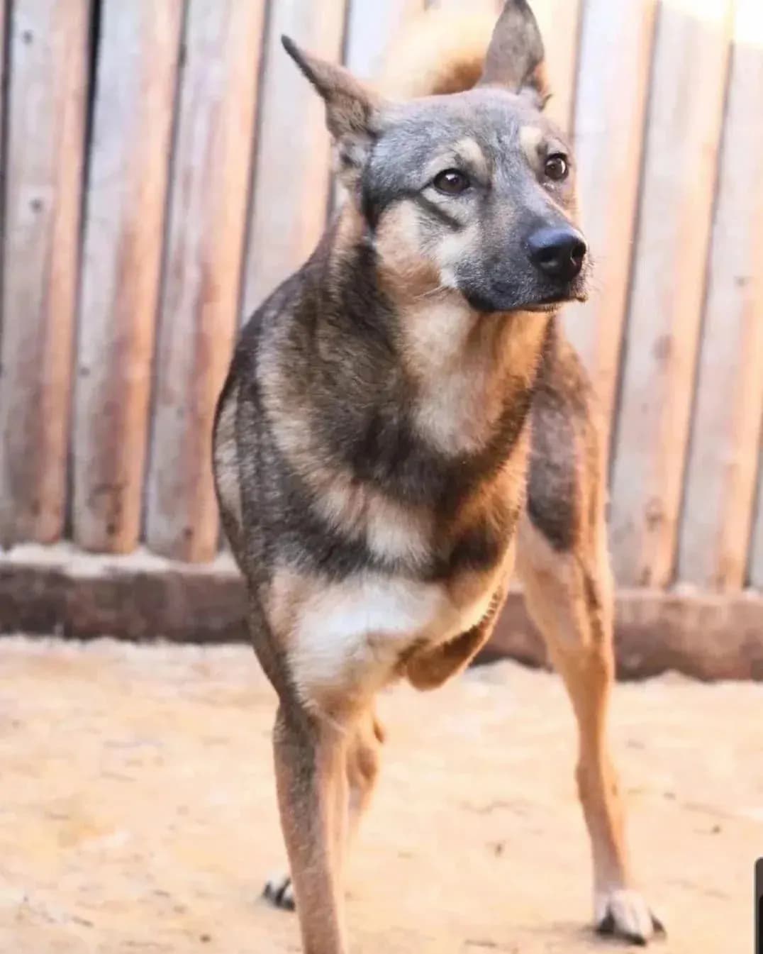 Матвей