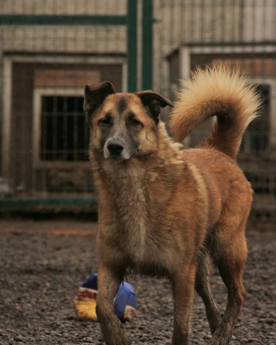 Билли