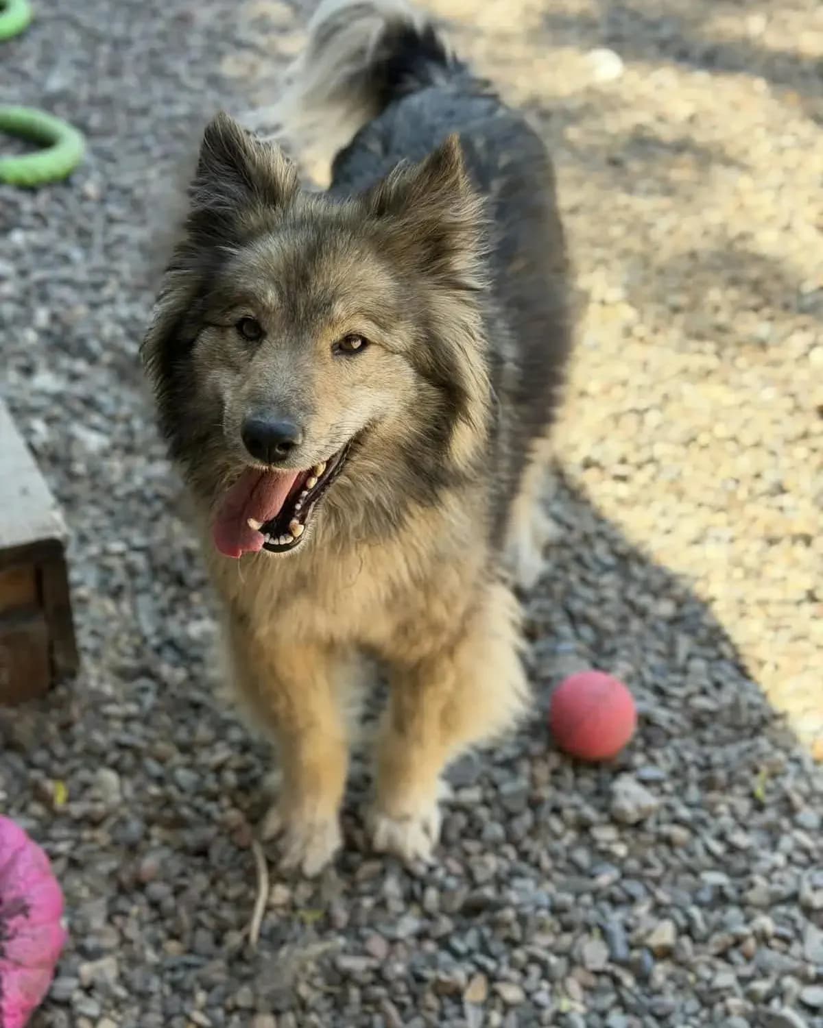 Бусинка