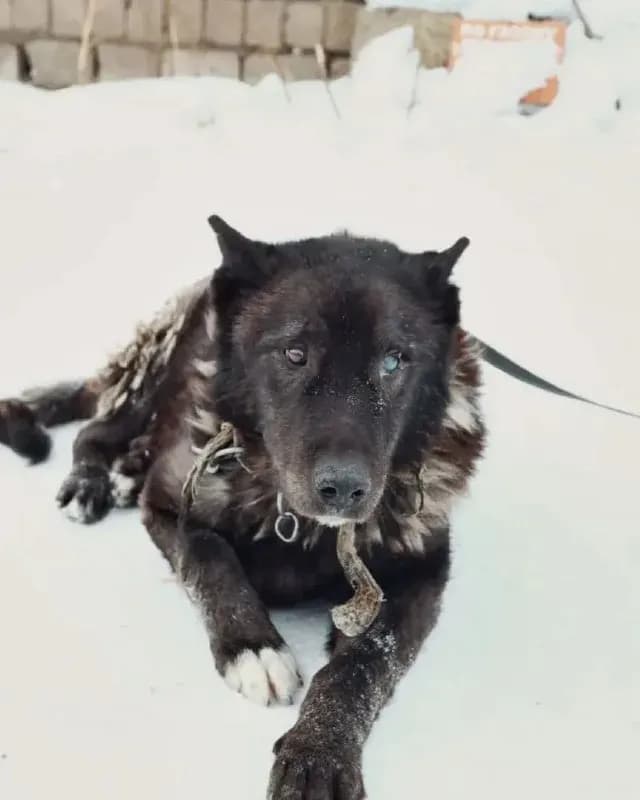 Старичок